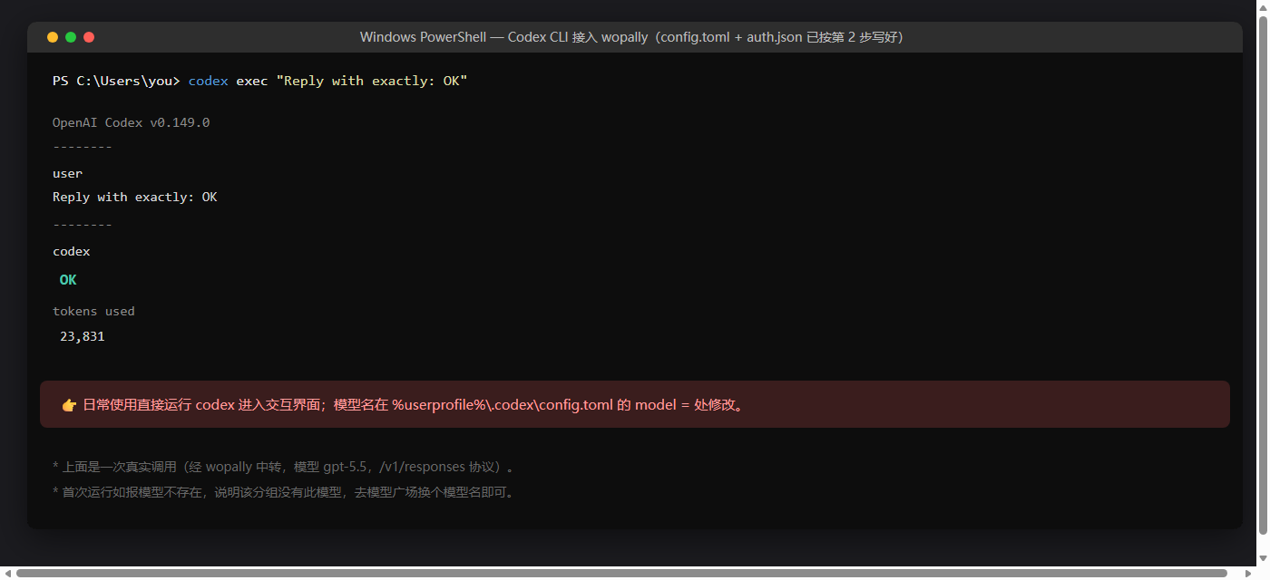 Codex 实测